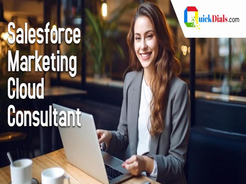 Salesforce Marketing Cloud Consultant